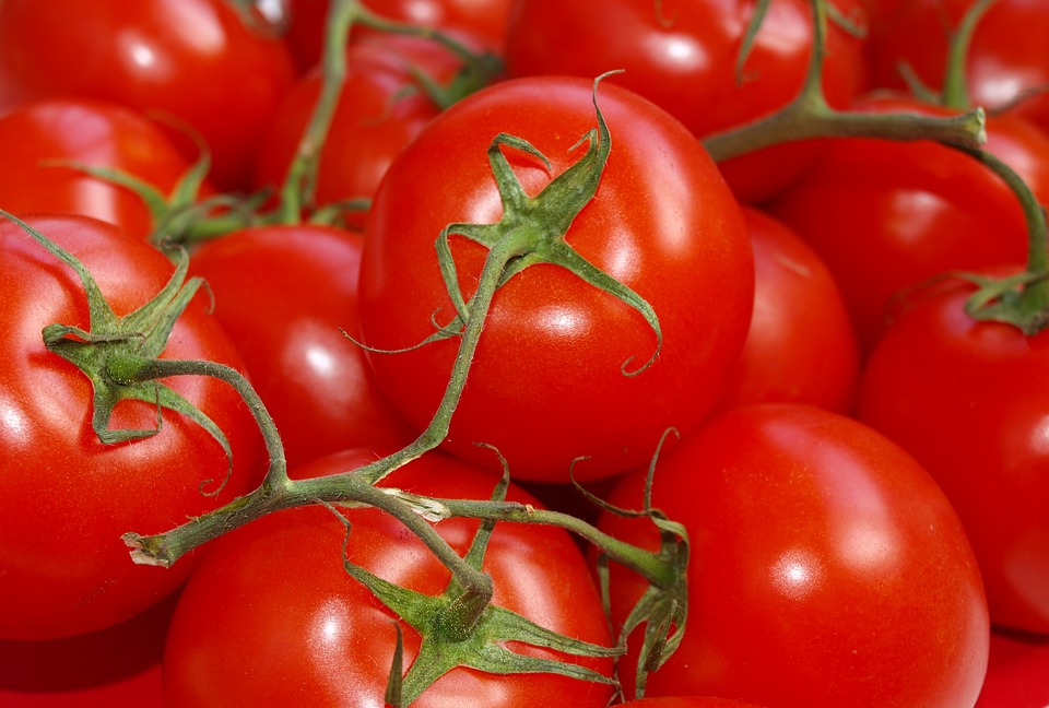 Comment manger les tomates ?